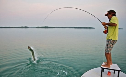 MUD LINE FISHING  Andy May's Guide To Pole Fishing To Islands! 